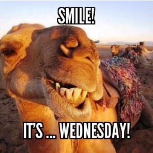 Stolen from my cohort in crime, Carmen, who posts Hump Day pics EVERY Wednesday!